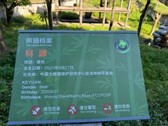-中国大熊猫保护研究中心雅安碧峰峡基地