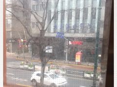 -小杨生煎(黄河路店)
