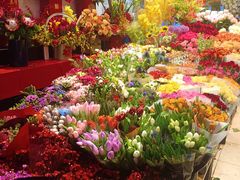 -双季花艺园艺市场(浦东店)