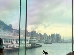 -Cupping Room(Harbour City)