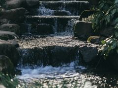 -中国茶叶博物馆(双峰馆区)