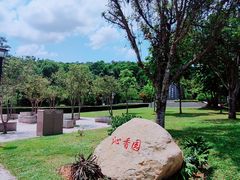 -阳台山森林公园