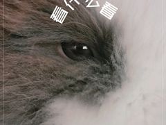 -小意思咖啡店(草桥店)