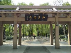 -柳浪闻莺公园