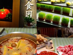 -番食园鲜食火锅(高新店)