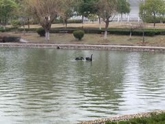 -南京财经大学(仙林校区)