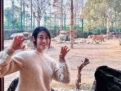 -上海野生动物园老虎餐厅