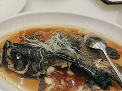 -沪华海鲜大酒楼(南汇店)