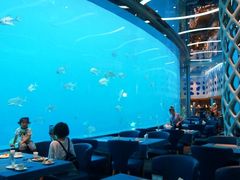 -瑞德姆美人鱼海底演艺主题餐厅(亚龙湾店)