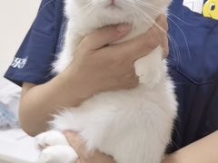 -子乐宠物医院