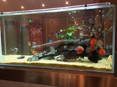 -黄鱼炙夜(华家池店)
