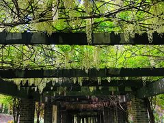 -龙寺生态园