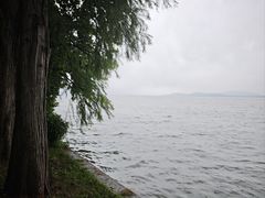 -湖滨客舍·湖北菜