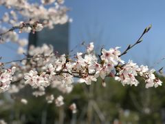-奉贤区政务服务中心-地下停车场