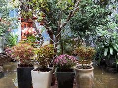 -海韵人家.海景花园经典云南菜(双廊店)