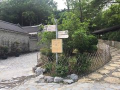 -九龙公园