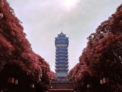 -塔子山公园