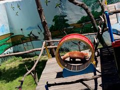 -西霞口神雕山野生动物世界