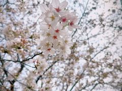 -上海辰山植物园