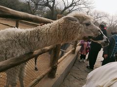 -西安秦岭野生动物园