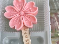 -南山植物园