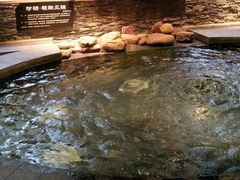 -8号公馆(金川街店)