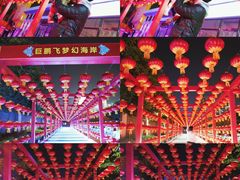 -巨鹏飞梦幻海岸