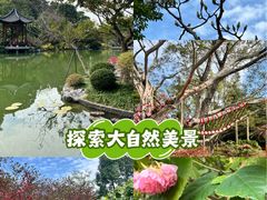 -云溪植物园