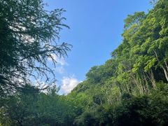 -贵阳市花溪国家城市湿地公园