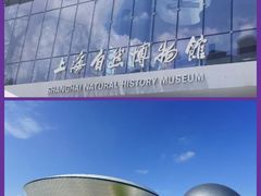 -上海博物馆(人民广场馆)