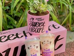 -一只酸奶牛(锦城万达天虹店)