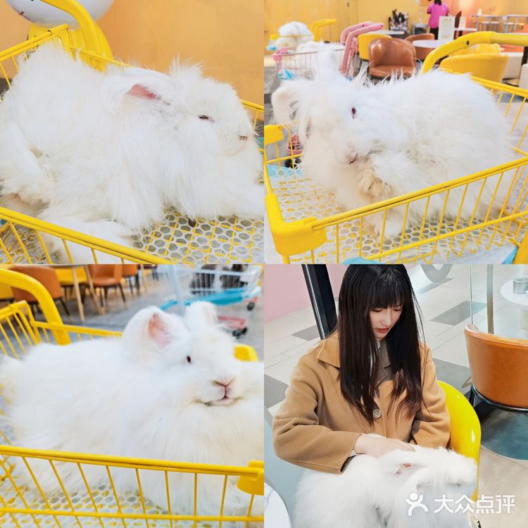 长沙探店 Nice to meet u  萌兔体验馆