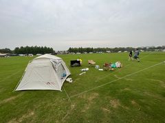 -春花秋色城市公园