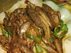 -幽优农庄·森波拉特色本地农家菜