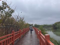 -艾溪湖湿地公园