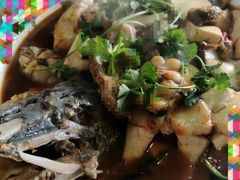 -煲来饱去冷水鱼