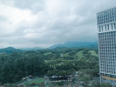 -深圳大学总医院