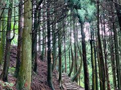 -井冈山风景名胜区-黄洋界