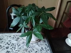 -阿伟海鲜楼·福建菜(涵江店)