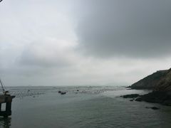 -枸杞岛