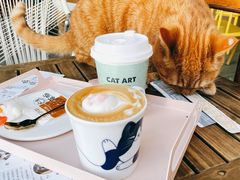 -喵屿·大理花园猫咖