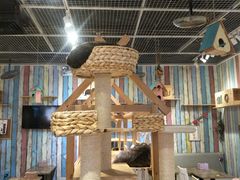 大堂-小时光咖啡馆(开森度假森林店)