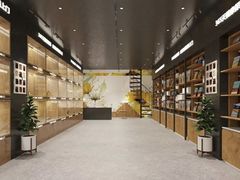 -欣宠猫屋·矮脚拿破仑·蓝金金渐层