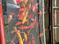 -陶祖圣境风景区