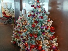 -澳门旅游塔360°旋转餐厅(南湾湖广场店)