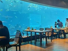 -海棠湾洲际-涛·海底餐厅·美人鱼·自助餐·海底隧道