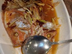 -今鲜源酒店·海鲜锅贴青岛菜(新湛路店)