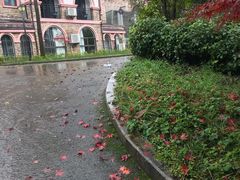 -龙水峡地缝景区