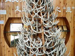 -北京鹿世界主题园