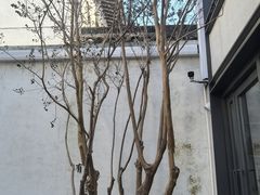 -苏州观前街有熊酒店